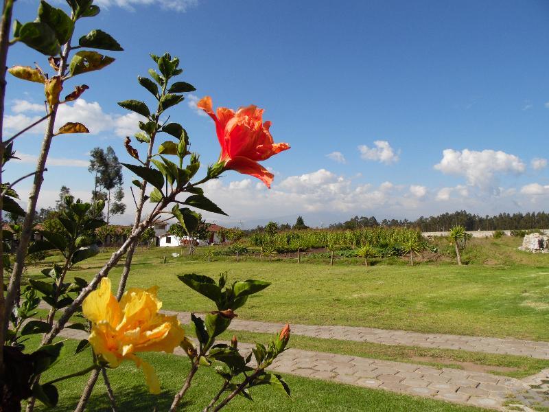 Posada Mirolindo Quito Buitenkant foto